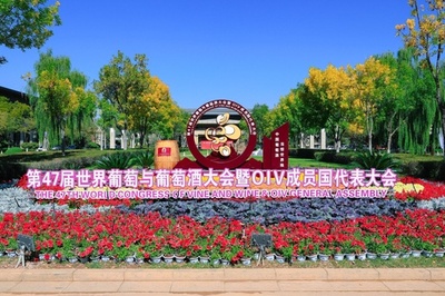 第47回世界ブドウ・ワイン大会が中国・寧夏で開幕