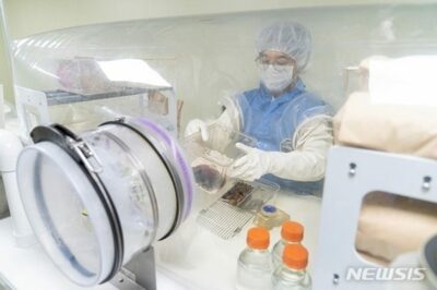 「キムチ食べて50キロ減量」の主張、マウスで確認した韓国研究チーム