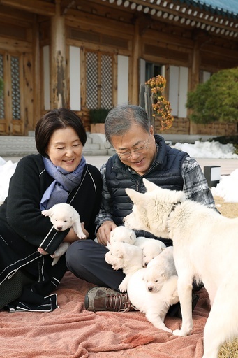 南北犬外交？金委員長が文大統領へ贈った犬、子犬6匹を出産