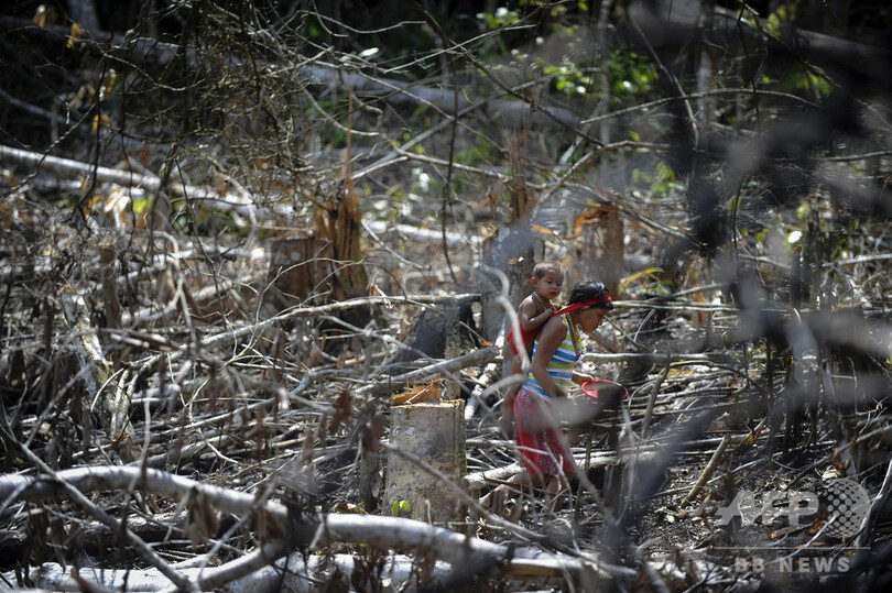 ブラジル先住民族ヤノマミ、違法採掘者の追放訴え コロナ感染懸念