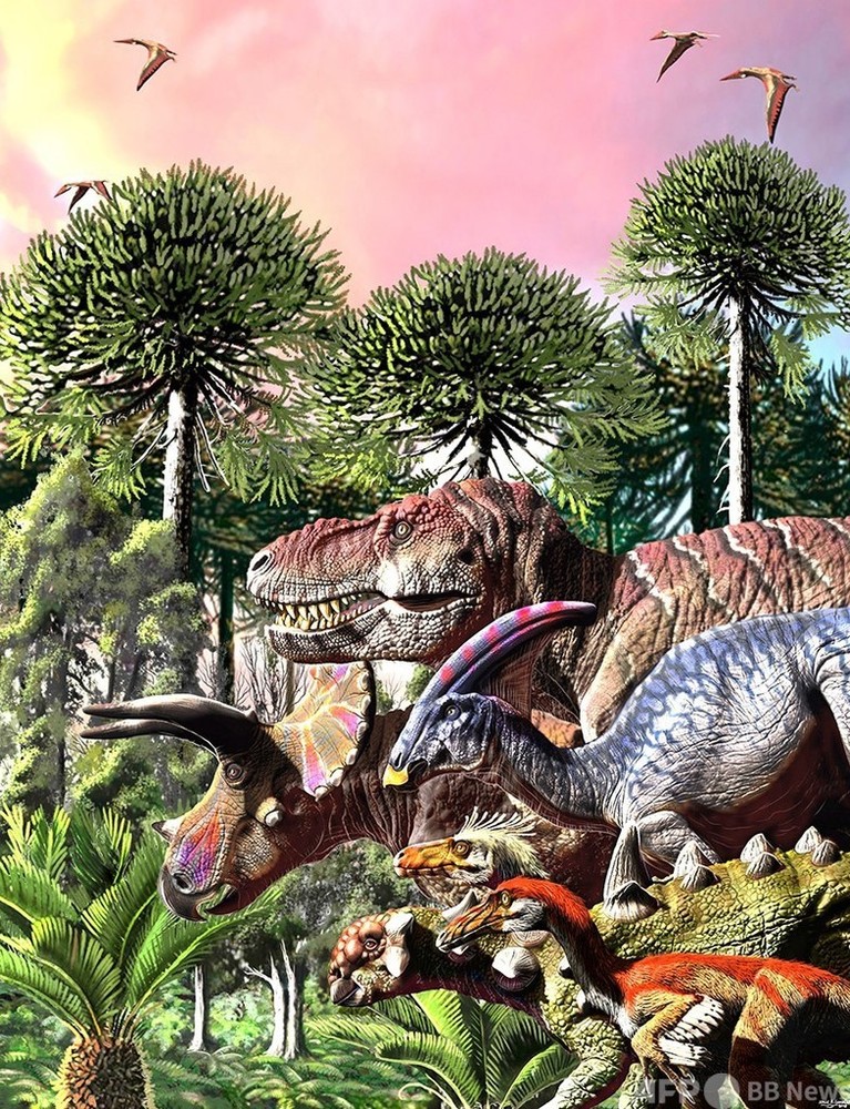 恐竜は小惑星衝突前から衰退か 研究