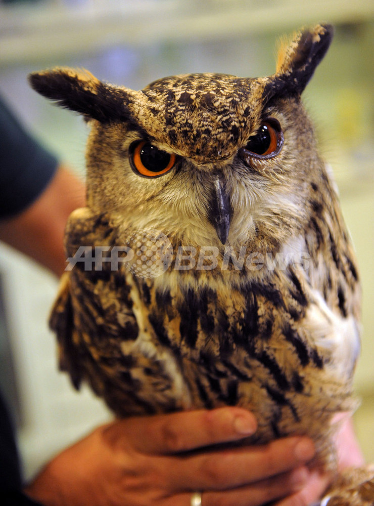 img_aee536e7b7a65d3e8cd1bf8897