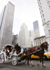 米ニューヨーク（New York）のセントラルパークサウス（Central Park South）を走る馬車（2007年12月20日撮影）
。(c)AFP/DON EMMERT