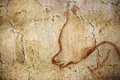 南仏アルデシュ（Ardeche）県のショーベ洞窟（Chauvet Cave）内に描かれた壁画（2014年6月13日撮影）。(c)AFP/JEFF PACHOUD