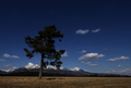 スロバキア・タトラ（Tatra）山脈にあるKrivan山（標高2494メートル）。(c)AFP/JOE KLAMAR
