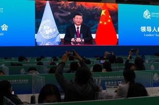 中国、生物多様性基金に260億円の拠出表明 COP15