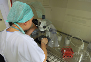 ヒト精子を実験室で作製、生殖機能の有無は不明 仏チーム ヒト精子を実験室で作製、生殖機能の有無は不明 仏チーム