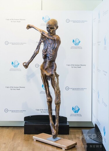 5000年前のミイラ「アイスマン」、3Dプリンターで複製 写真1枚 国際 