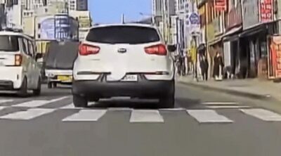 罰金110万円の危機？…韓国・風に飛んだ紙皿がナンバープレートに張り付く「奇妙な騒動」