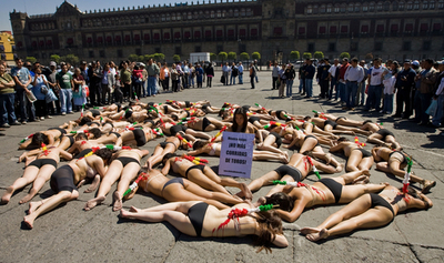 「ノー・モア・闘牛」、メキシコ市でデモ