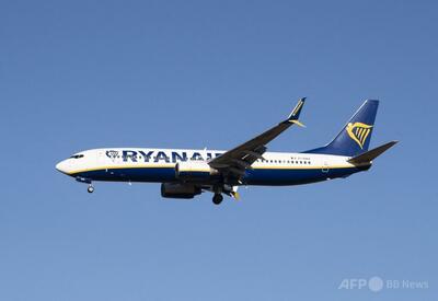 格安航空ライアンエア機の翼にハゲワシ 消防隊が出動して捕獲