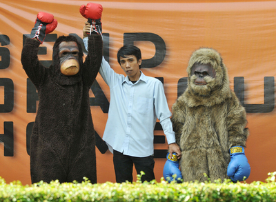 オランウータン返して、保護団体がボクシングで抗議 インドネシア