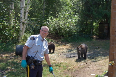 「マリフアナの番人」役のクマたち、州当局が殺処分を中止 カナダ