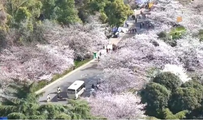 近づく清明節連休 中国国内で短距離観光が人気爆発