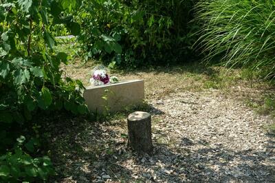 反ユダヤ主義的「憎悪」 フランスで追悼樹伐採の兄弟逮捕