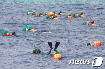 韓国・済州島で減り続ける若い海女…「体力が続く限り、働いて引退する」という小さな願い