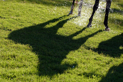 伊出身騎手が落馬事故で死去、23歳 オーストラリア