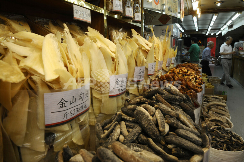 ワシントン条約会議閉幕、クロマグロの禁輸回避 ニシネズミザメ規制は逆転否決