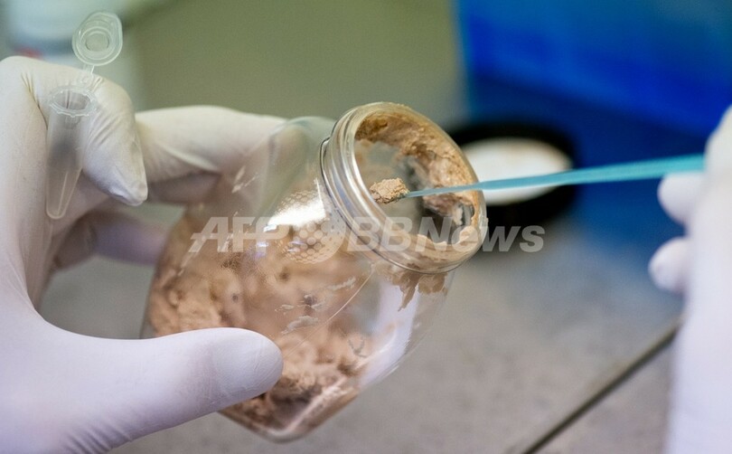 香港でも馬肉混入した冷凍食品、大手スーパーの店頭から撤去
