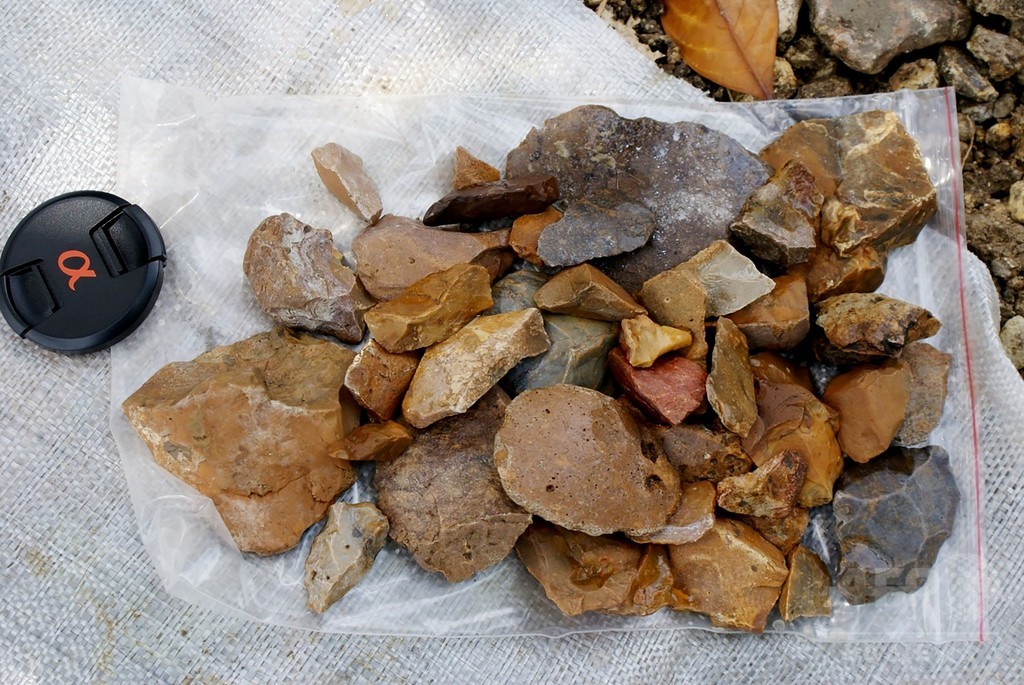 11万8000年以上前の石器発見、デニソワ人か インドネシア 11万8000年以上前の石器発見、デニソワ人か インドネシア