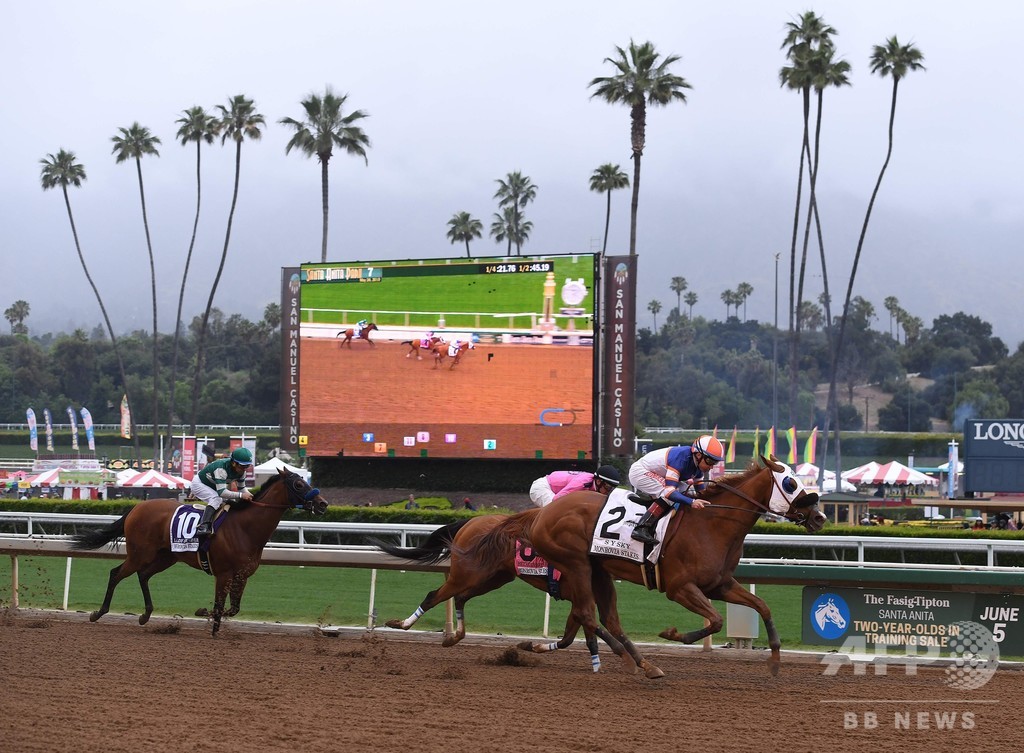 ブリーダーズカップ、馬の死多発の競馬場で予定通り開催へ ブリーダーズカップ、馬の死多発の競馬場で予定通り開催へ