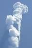 米航空宇宙局（NASA）は5日、木星探査機「ジュノー（Juno）」を載せたアトラスVロケットの打ち上げに成功した。無人探査機「ジュノー」は太陽電池を用いて、5年間をかけて太陽系で最大の惑星である木星に到達し、周回しながら1年かけて木星誕生の謎を探る（2011年8月5日撮影）。(c)AFP/Bruce Weaver 

&lt;a href=&quot;http://www.afpbb.com/article/environment-science-it/science-technology/2818503/7604368&quot;&gt;&lt;b&gt;【図解】太陽電池を用いた無人木星探査機「ジュノー」&lt;/b&gt;&lt;/a&gt;