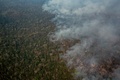国際環境保護団体グリーンピース提供による、ブラジル北部マラニョン州アラリボイア先住民保護区で延焼する森林火事の写真（2015年10月24日撮影）。(c)AFP/Greenpeace/Marizilda CRUPPE