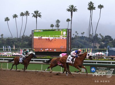 ブリーダーズカップ、馬の死多発の競馬場で予定通り開催へ 写真1枚
