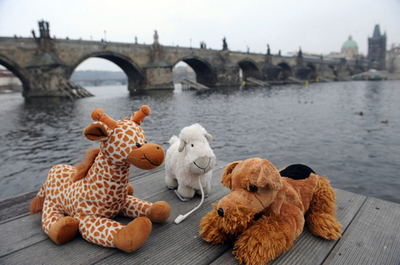 世界初「ぬいぐるみ観光ツアー」、チェコ版『マネーの虎』から誕生