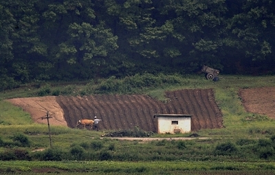 北朝鮮、アフリカ最貧国にも食糧援助を要請 韓国紙