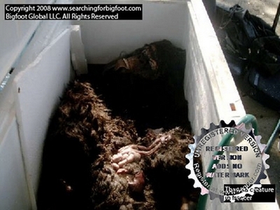 謎の巨大猿型生物の死体、実はゴム製ゴリラの着ぐるみだった