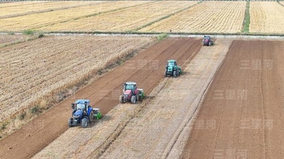 【三里河中国経済観察】中央農村工作会議が「三農」発展の新たな方向性を示す