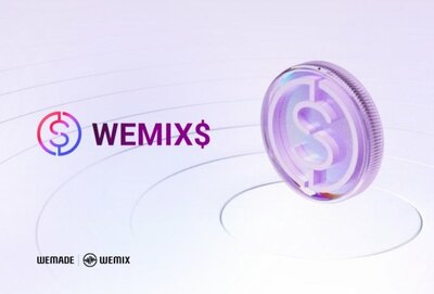 ベールを脱いだウィメイド基軸通貨…テラ・ルナと何が違う – KOREA WAVE