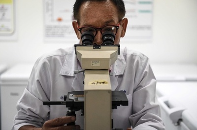 児童虐待、被害者に残る「分子の傷跡」 研究