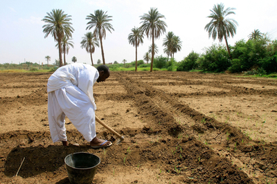 スーダンに待たれる真の「農業革命」、南部独立で浮上する経済不安