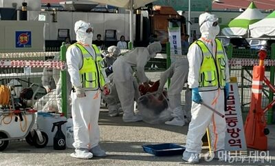 次のパンデミック？　鳥インフルエンザが急速拡大…韓国で対策強化を呼びかけ