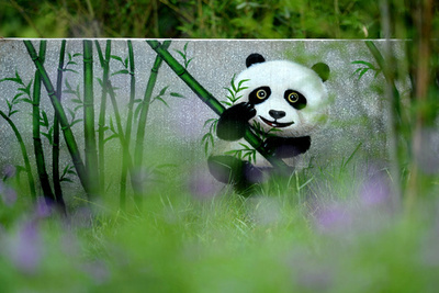  全長102キロ、四川・成都にパンダがテーマの緑道