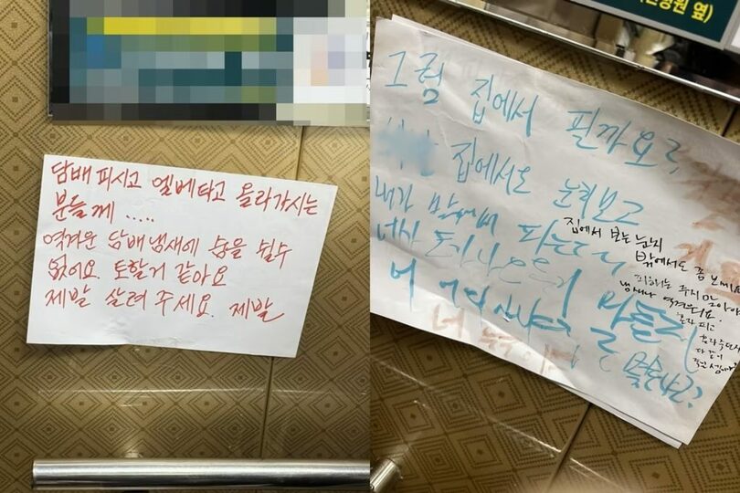 SNSキャプチャー(c)news1