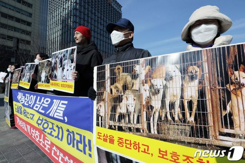 記者会見に臨む韓国動物保護連合の活動家ら(c)news1