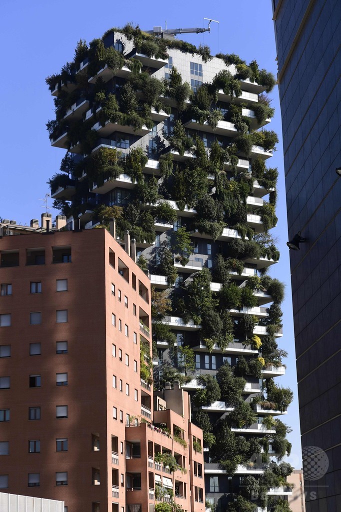 木だらけのビルが地球を救う？ 大都市にそびえ立つ「垂直の森」