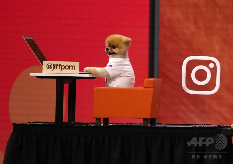 フェイスブック、出会い機能を導入へ CEOが発表