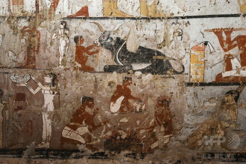 古代エジプトの巫女の墓を公開 ギザ西部墓地で発見 優れた壁画 写真8枚 国際ニュース Afpbb News