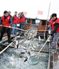 中国東部・江蘇（Jiangsu）省蘇州（Suzhou）の太湖（Taihu Lake）で、産業排水などのせいで大量発生した藻を除去するために放流される魚（2009年2月23日撮影）。(c)AFP