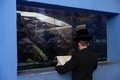 イスラエル・テルアビブ近郊のブニブラックにある動物園で、魚類の水槽を前に祈りをささげるユダヤ教超正統派の少年。「タシュリフ」という「罪を水に投げ入れる」宗教儀礼を行っている（2021年9月14日撮影）。(c)MENAHEM KAHANA / AFP