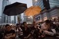 香港の金鐘（アドミラルティ、Admiralty）地区で、民主派の香港大学生連合会（学連、Hong Kong Federation of Students、HKFS）リーダーと特別行政区高官らとの対話の生中継に見入る学生たち（2014年10月22日撮影）。(c)AFP/Nicolas ASFOURI