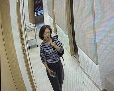 ソウル北漢山で50代女性が行方不明…警察が27日目の捜索