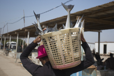 電力不足のイラク、GCCと協定 クウェートから送電線 500メガワット輸入へ