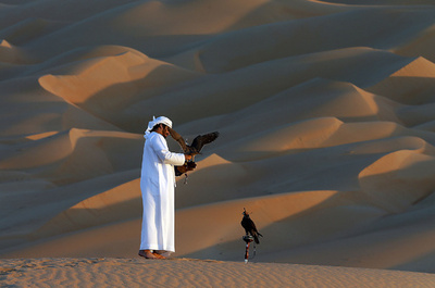 砂漠に舞うタカ、アラブの鷹匠たち