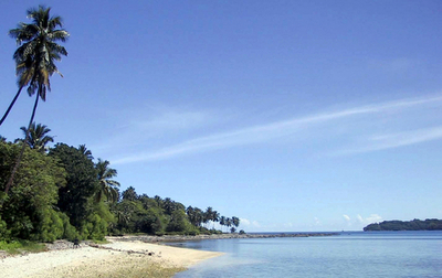 まるで「人間動物園」、少数民族踊らせ食べ物放る動画に批判殺到 インド