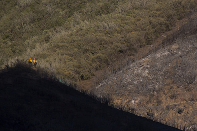 エルニーニョ来春まで続く、観測史上3位の強さ 干ばつの米南西部に雨 予測